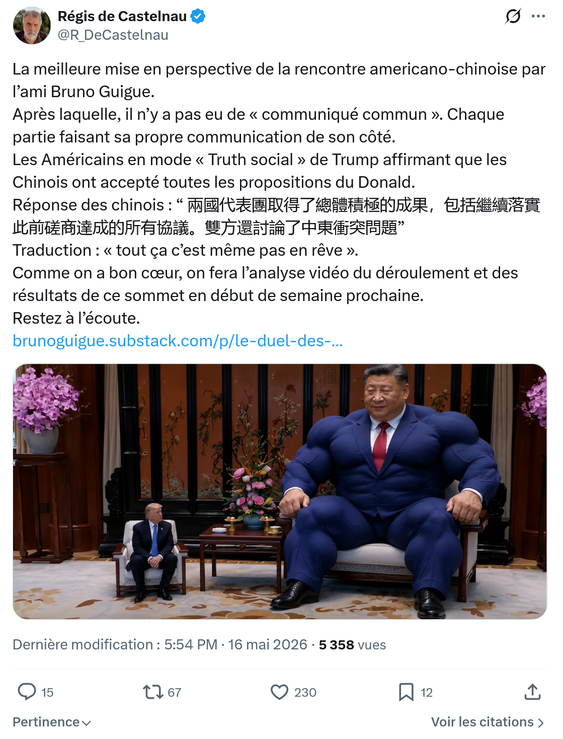 Régis de Castelnau: La meilleure mise en perspective…