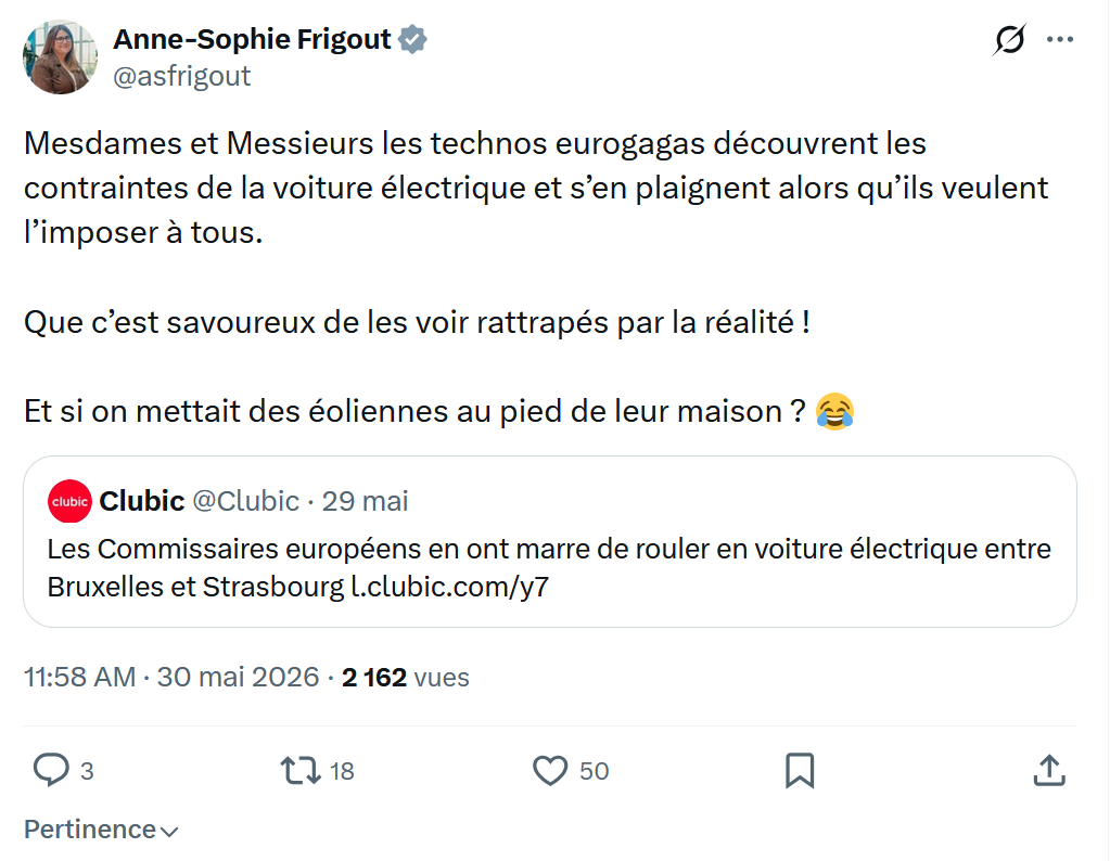 Anne-Sophie Frigout: Mesdames et Messieurs les technos eurogagas…