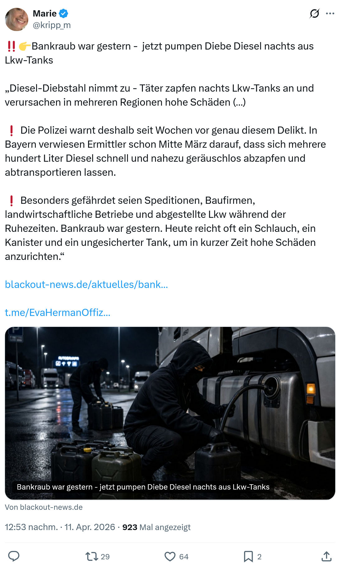 Marie kripp: Bankraub war gestern -  jetzt pumpen Diebe Diesel…