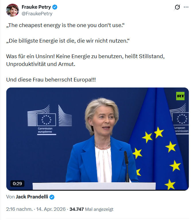 Frauke Petry: „The cheapest energy is the one you don‘t use.“…