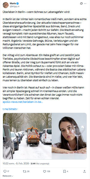 Marie kripp: Überleben in Berlin – wenn Schnee zur Lebensgefahr wird...