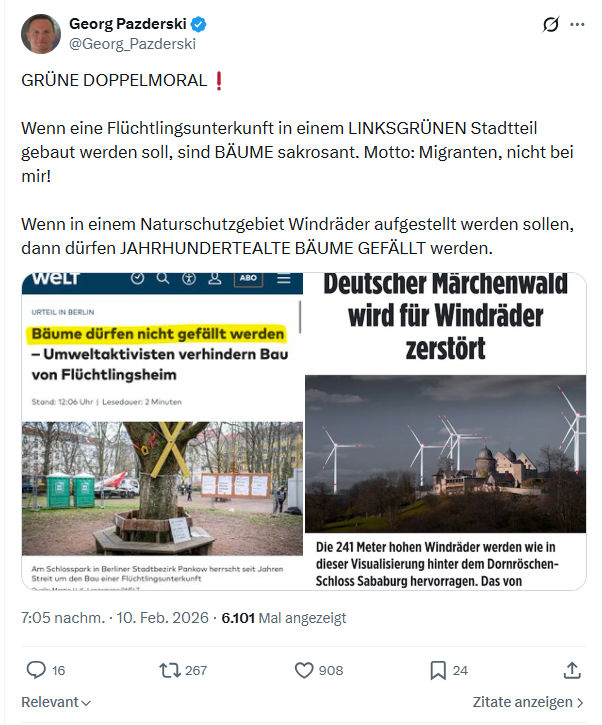 Georg Pazderski: GRÜNE DOPPELMORAL...
