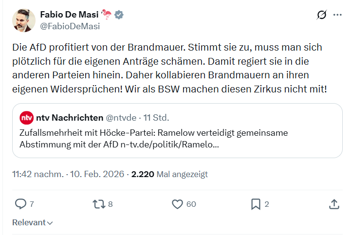 Fabio De Masi: Die AfD profitiert von der Brandmauer...
