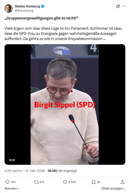 Stefan Homburg: Gruppenvergewaltigungen gibt es nicht...