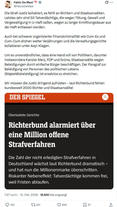 Fabio De Masi: Die Straf-Justiz kollabiert...
