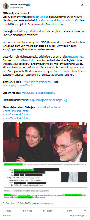 Stefan Homburg: SPD im Epsteinsumpf...