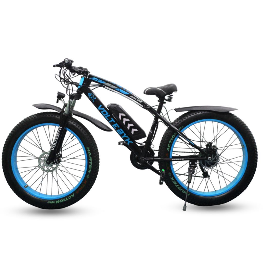 Fat bike, buy online