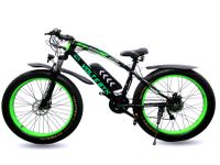 Pegas fat 2025 bike electric