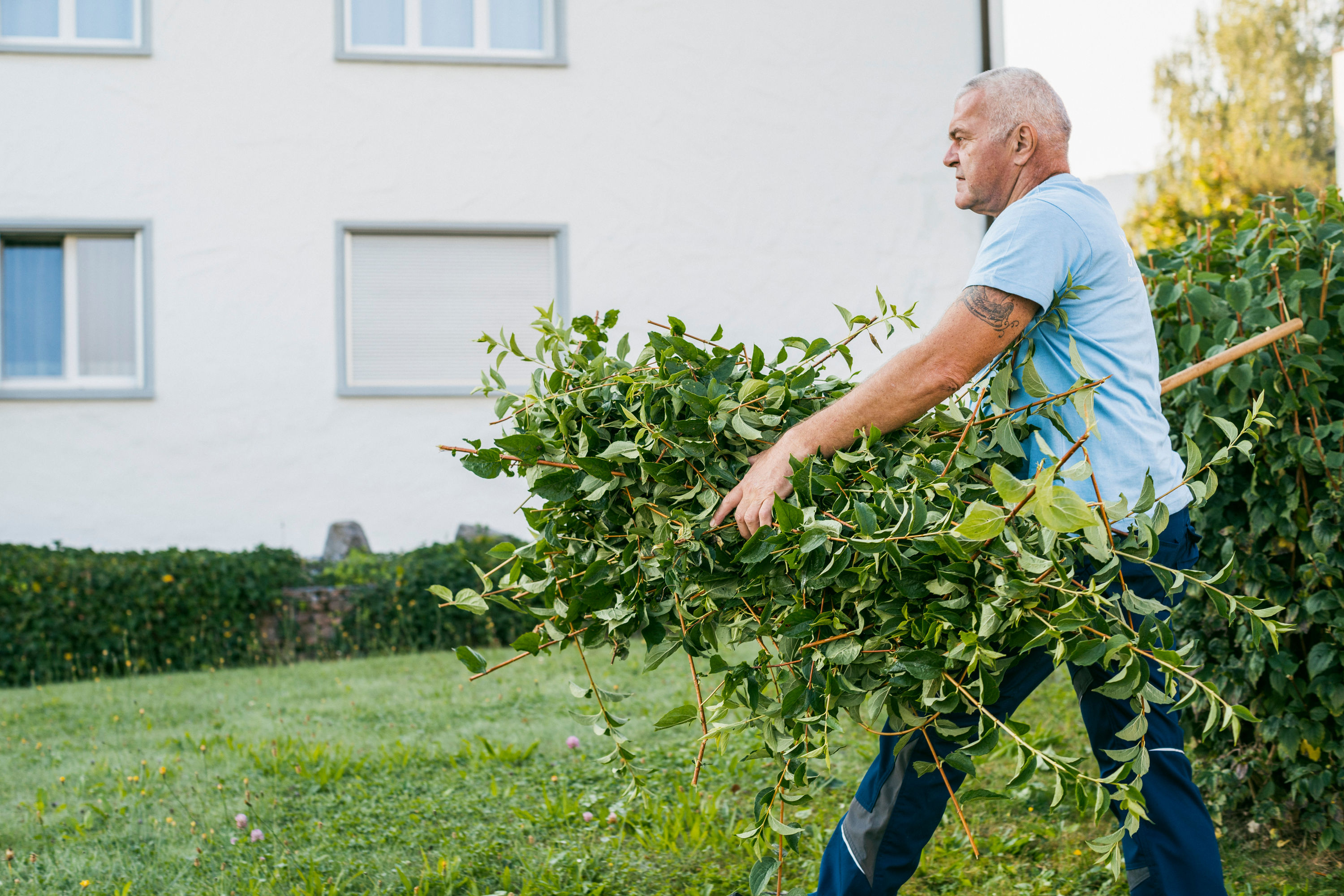 Hauswartung Hauswartung