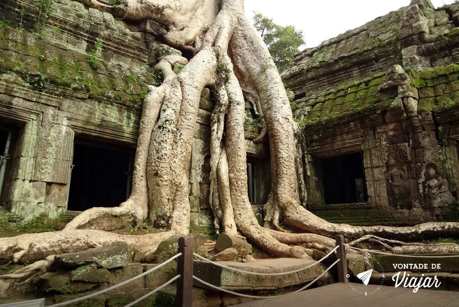 Angkor Wat - Ta Prohm ruinas do templo tomadas pela selva foram cenario do filme Tomb Raider