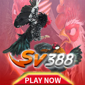 sv388