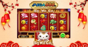 Big win cat