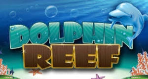 Dolphin reef
