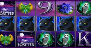 Panther moon