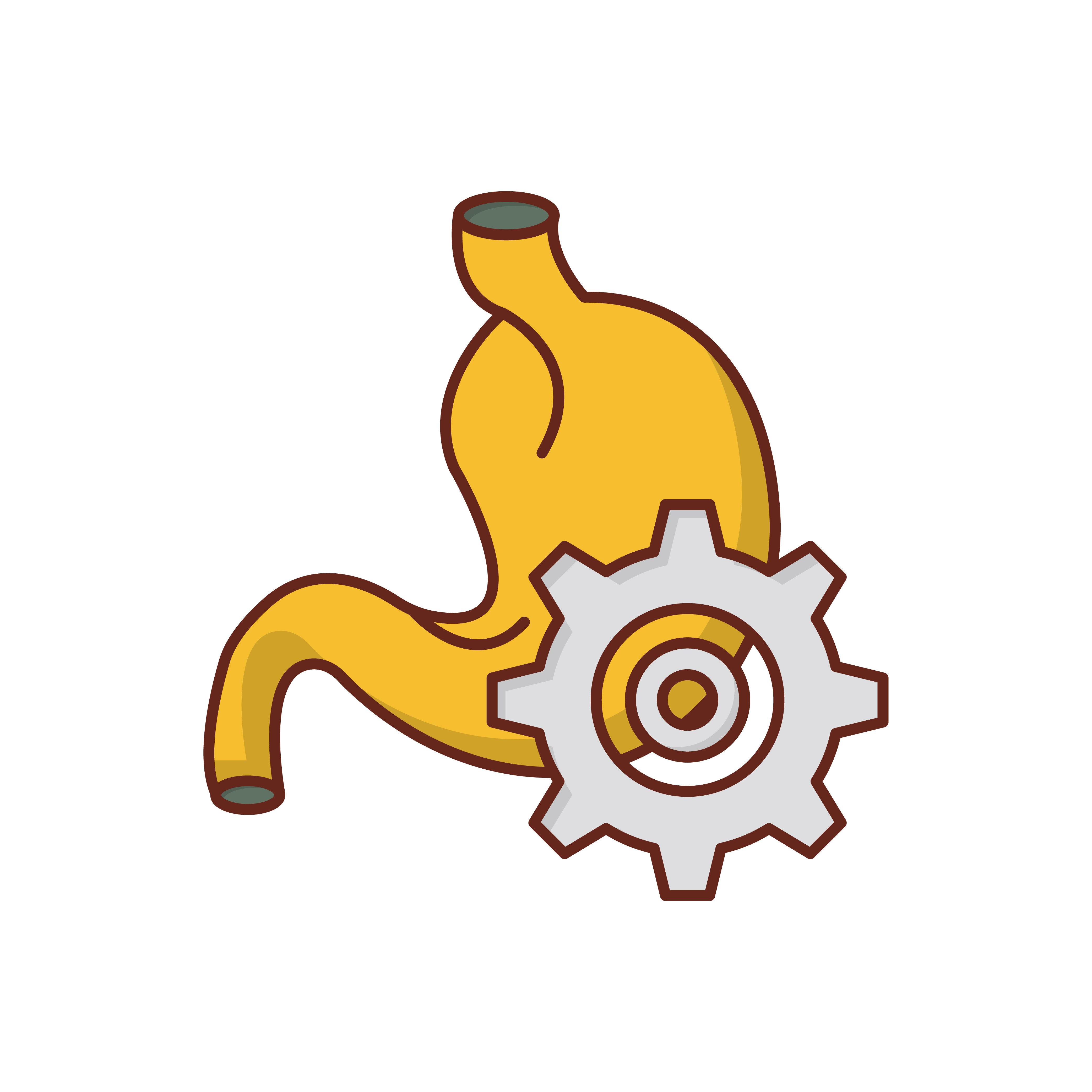 Illustration of a stomach with a gear mechanism representing the complex digestive processes that determine whether a vitamin supplement gets absorbed or wasted depending on whether it is taken with food or on an empty stomach