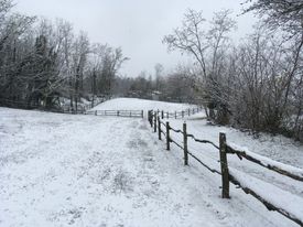 sentiero innevato