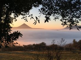 tramonto colli e nuvole cornice ulivi