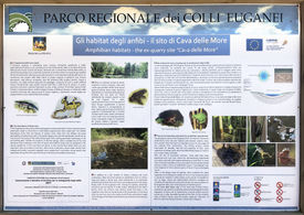 cartello habitat degli anfibi