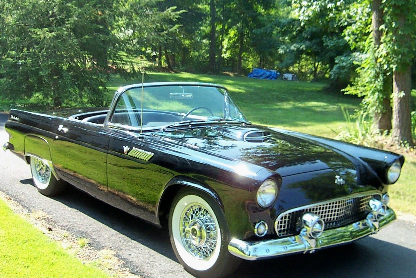 ford thunderbird 1955