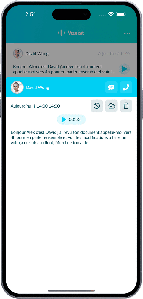 Capture de l'application Voxist