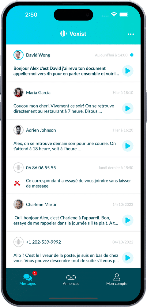 Capture de l'application Voxist