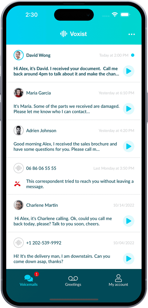 Voxist app screenshot