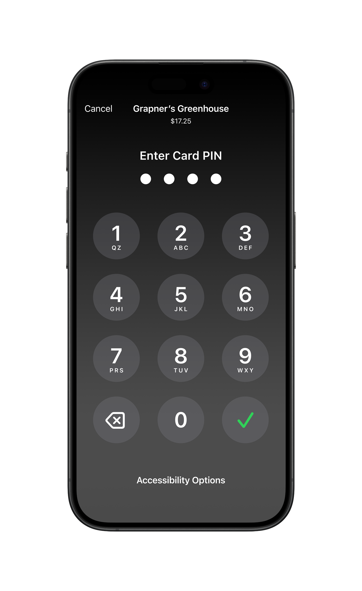 PIN transaction protection