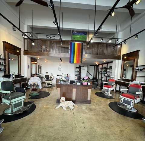 gallery image in our gallery