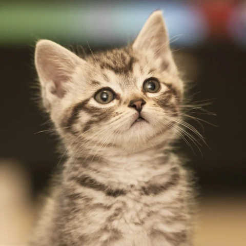 gallery image in our gallery