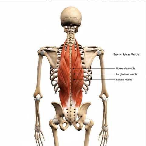 gallery image in our gallery