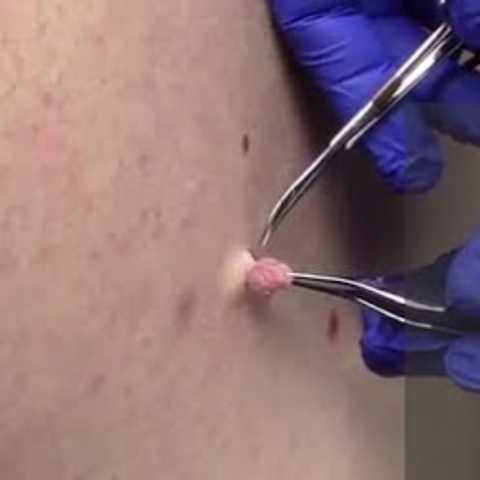 gallery image in our gallery