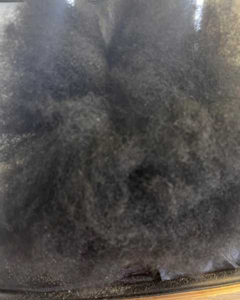 gallery image in our gallery