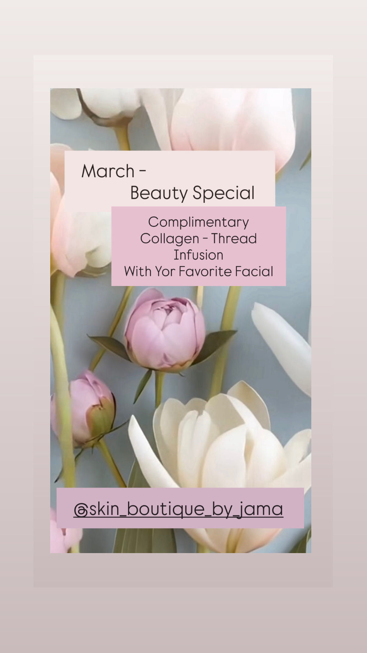  flowers,beauty,offer,promotion 