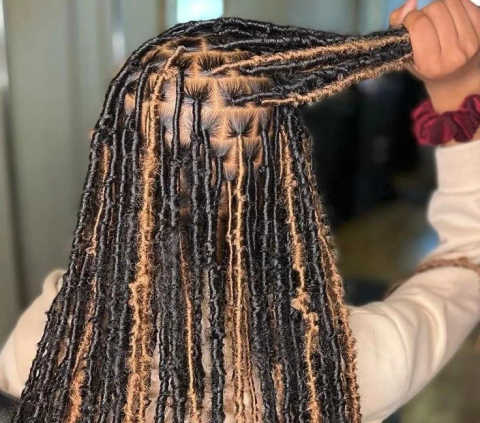 Braids Over Locs