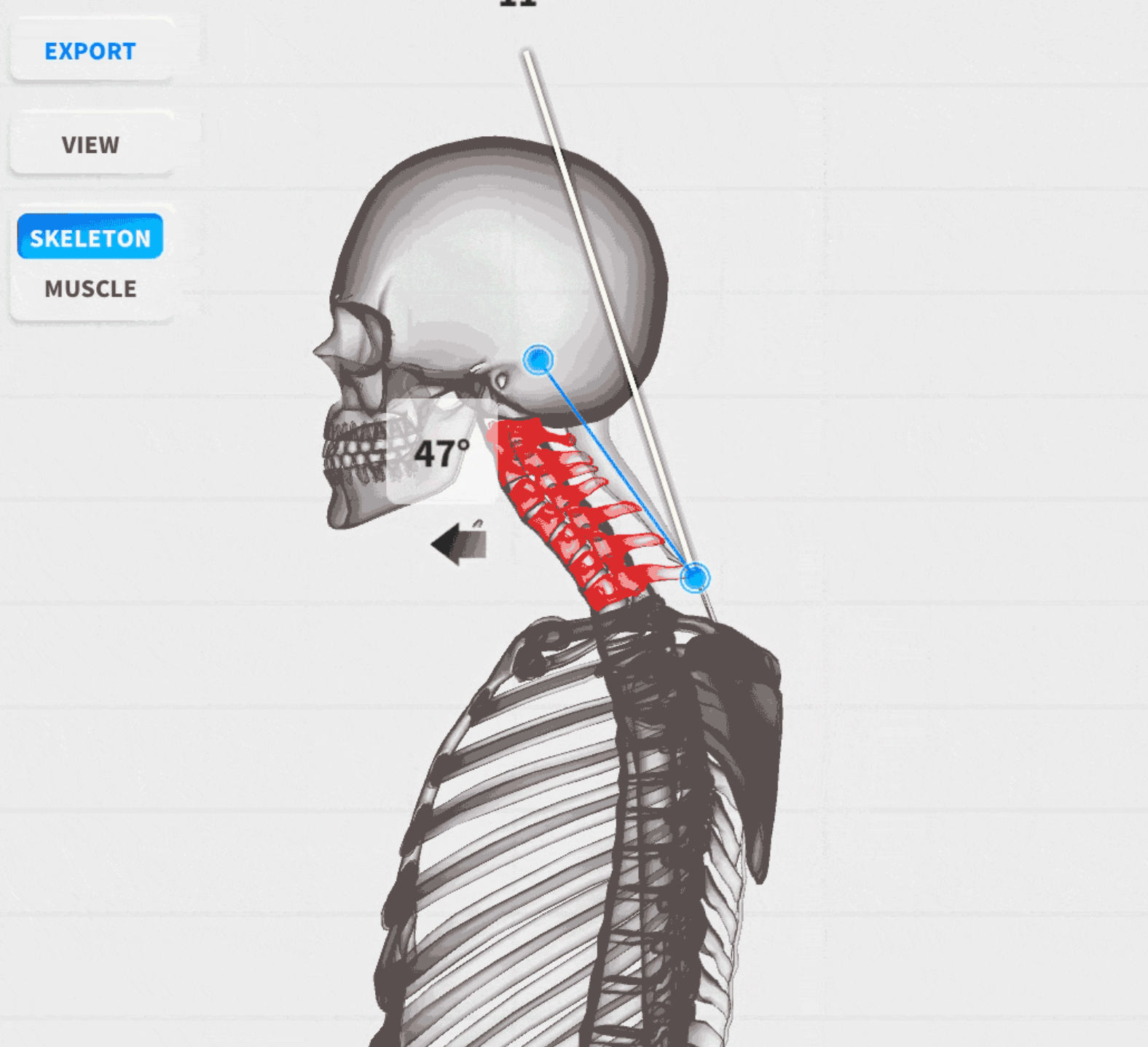 3D Posture & Body Analysis
