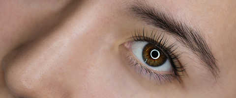 Classic Lash Full Set