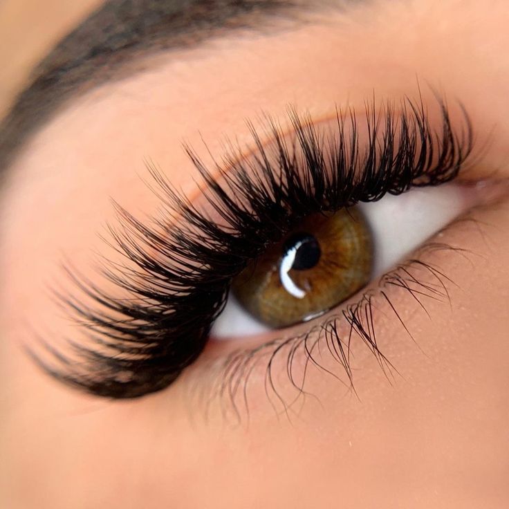 Eyelash extensions & services