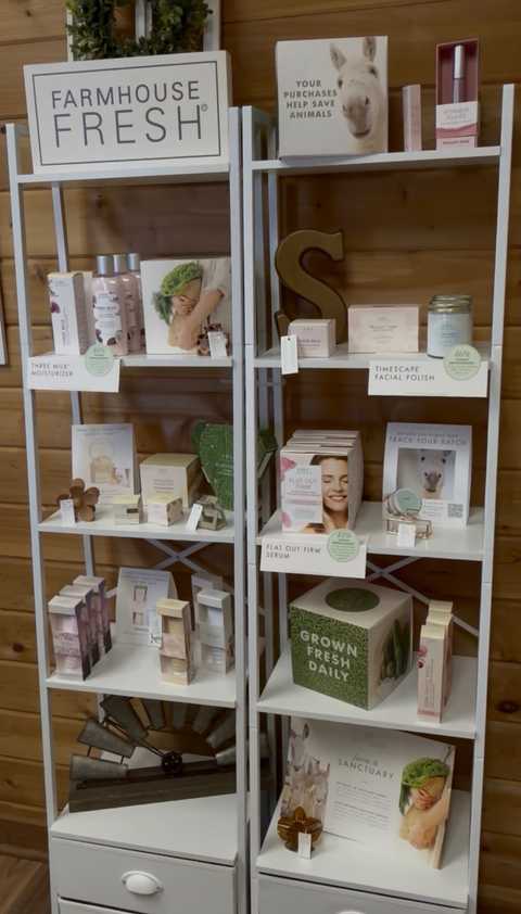 gallery image in our gallery