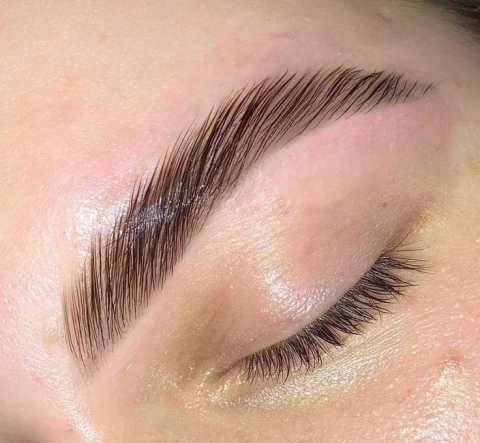 Brow Waxing/Tinting service