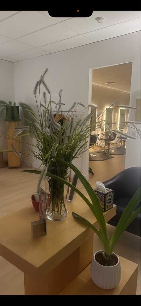 gallery image in our gallery