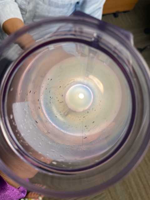 gallery image in our gallery