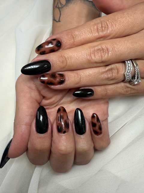 gallery image in our gallery