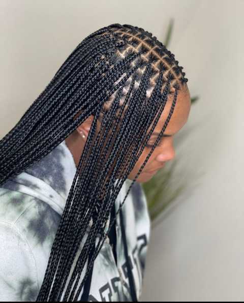 Micro Braids (Loose Wave)