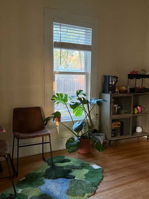gallery image in our gallery