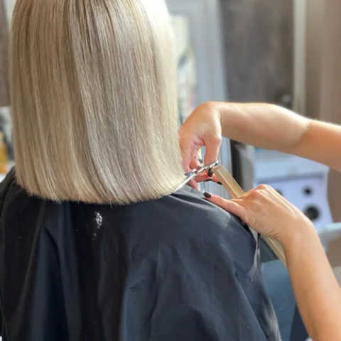 Professional Women's Haircut