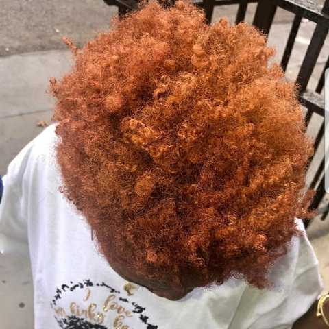 Fashion Color