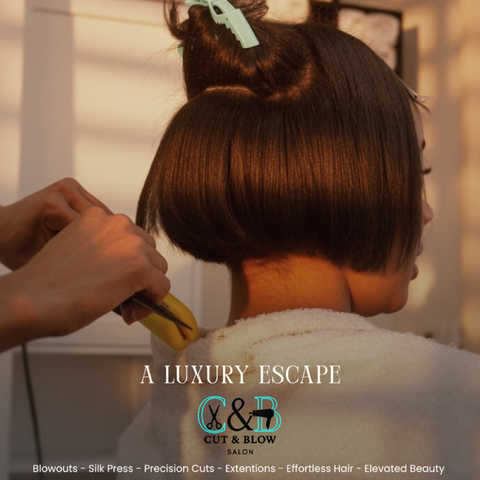 Blowout & Dry Trim (less 2inch) service image