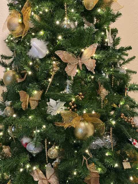 gallery image in our gallery