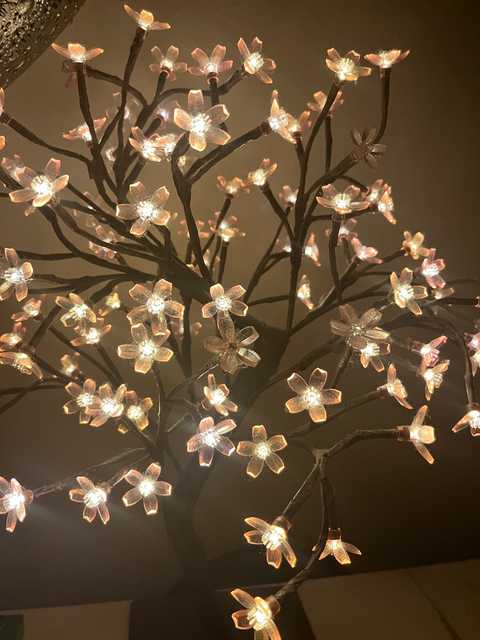 gallery image in our gallery