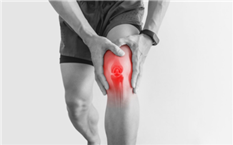 gallery image in our gallery